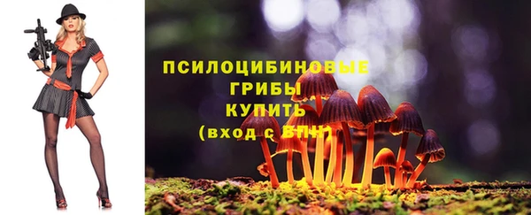стафф Беломорск