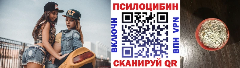 сайты даркнета телеграм  Билибино  Галлюциногенные грибы MAGIC MUSHROOMS 